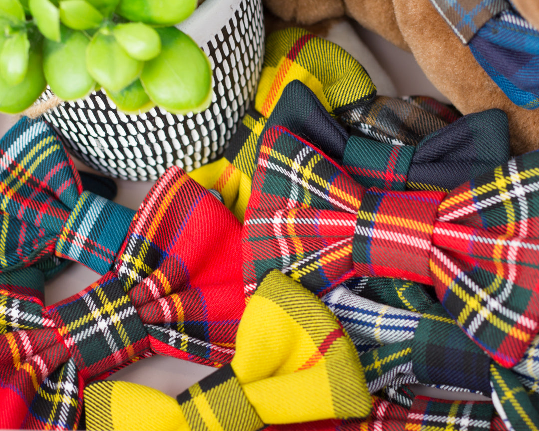 Bowtie | Anderson Tartan
