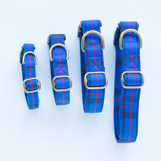 Dog Collar | Elliot