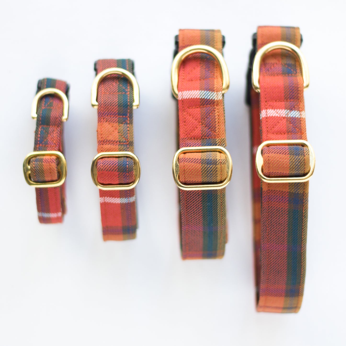 Dog Collar | Buchanan