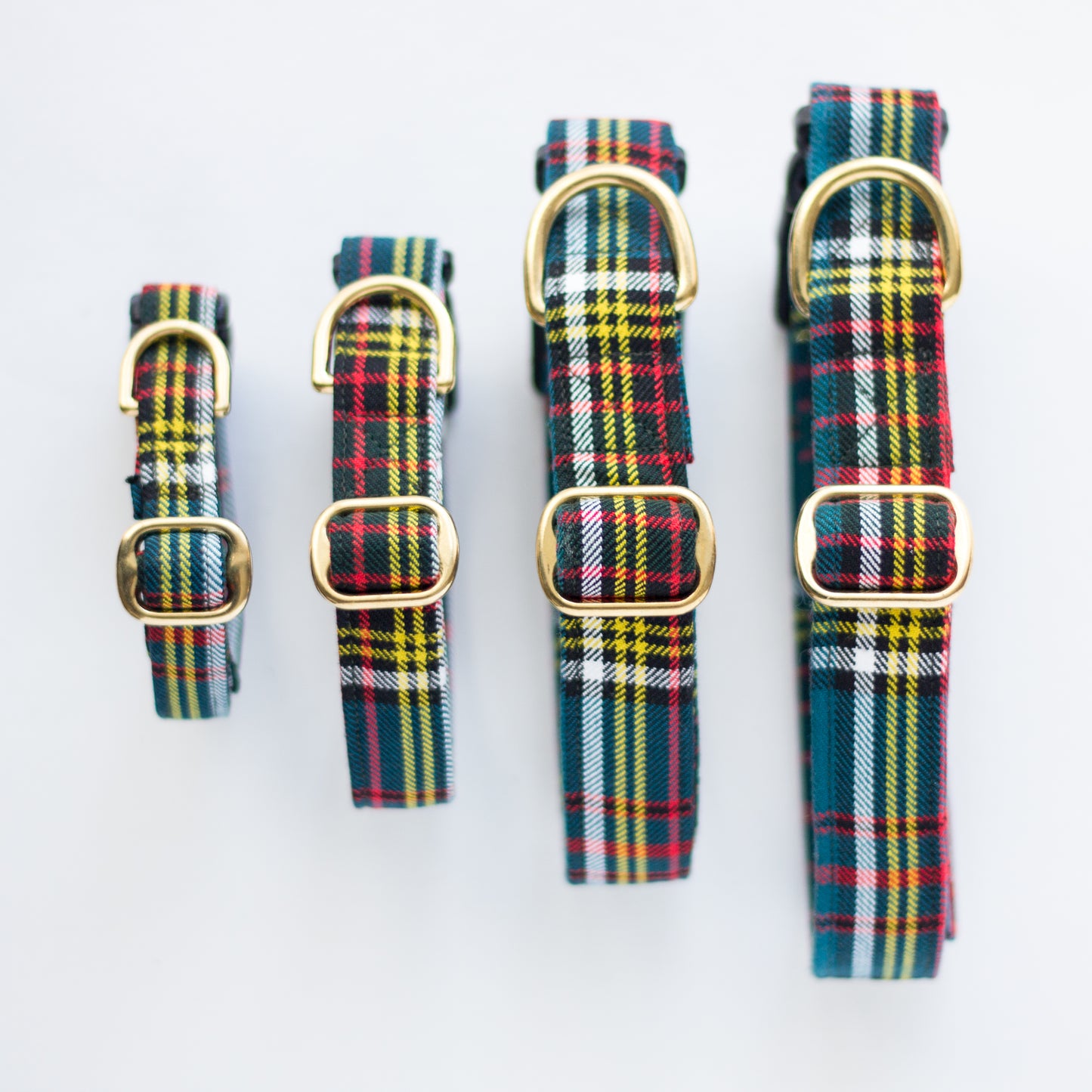 Dog Collar | Anderson