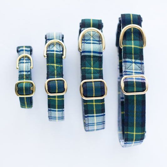 Dog Collar | Gordon