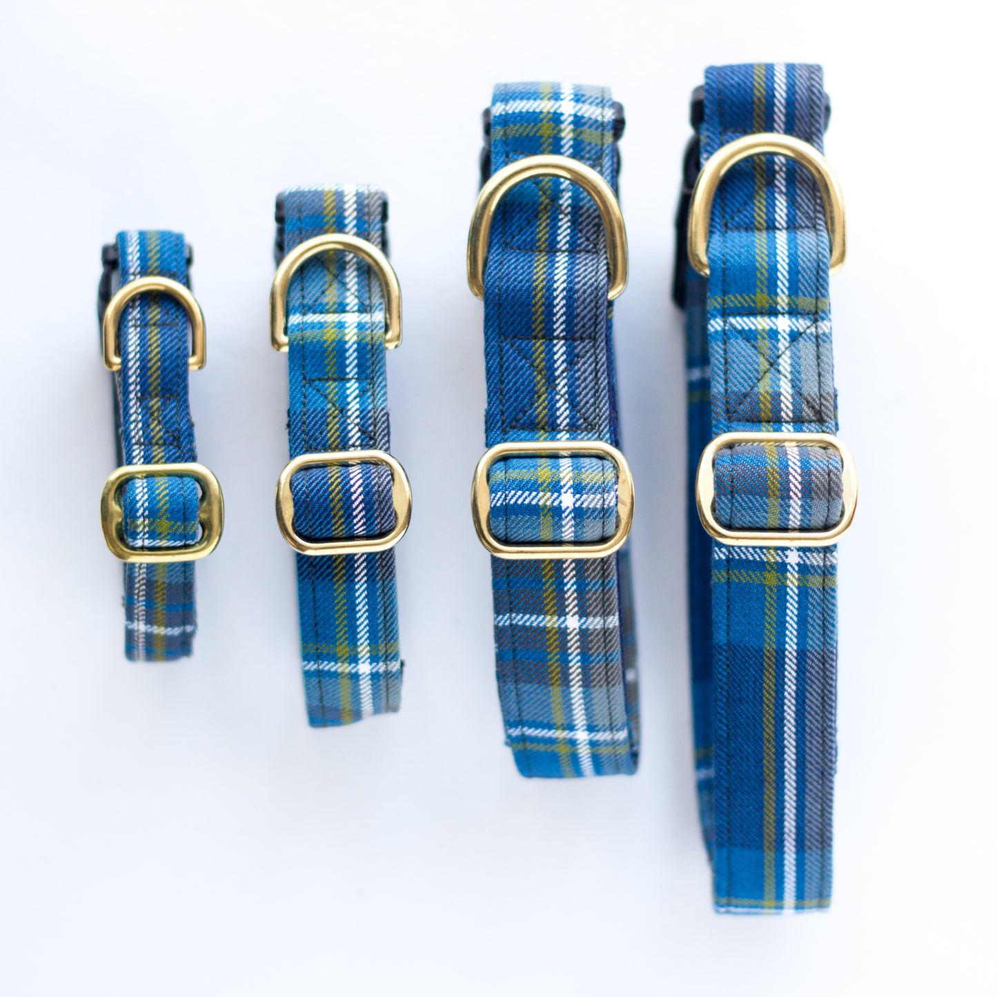 Dog Collar | Holyrood Tartan