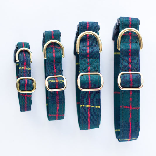Dog Collar | Macleod