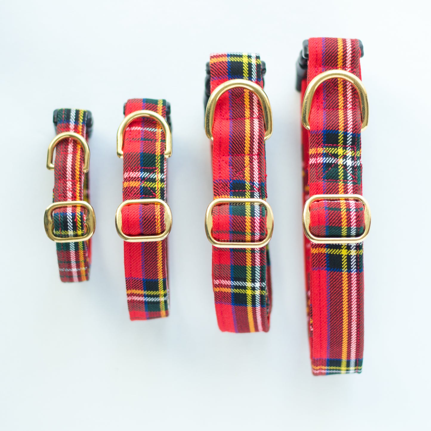 Dog Collar | Royal Stewart