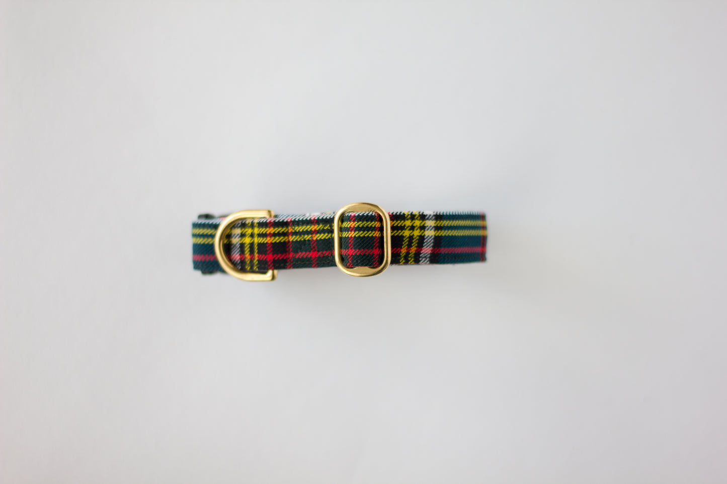 Dog Collar | Anderson Tartan