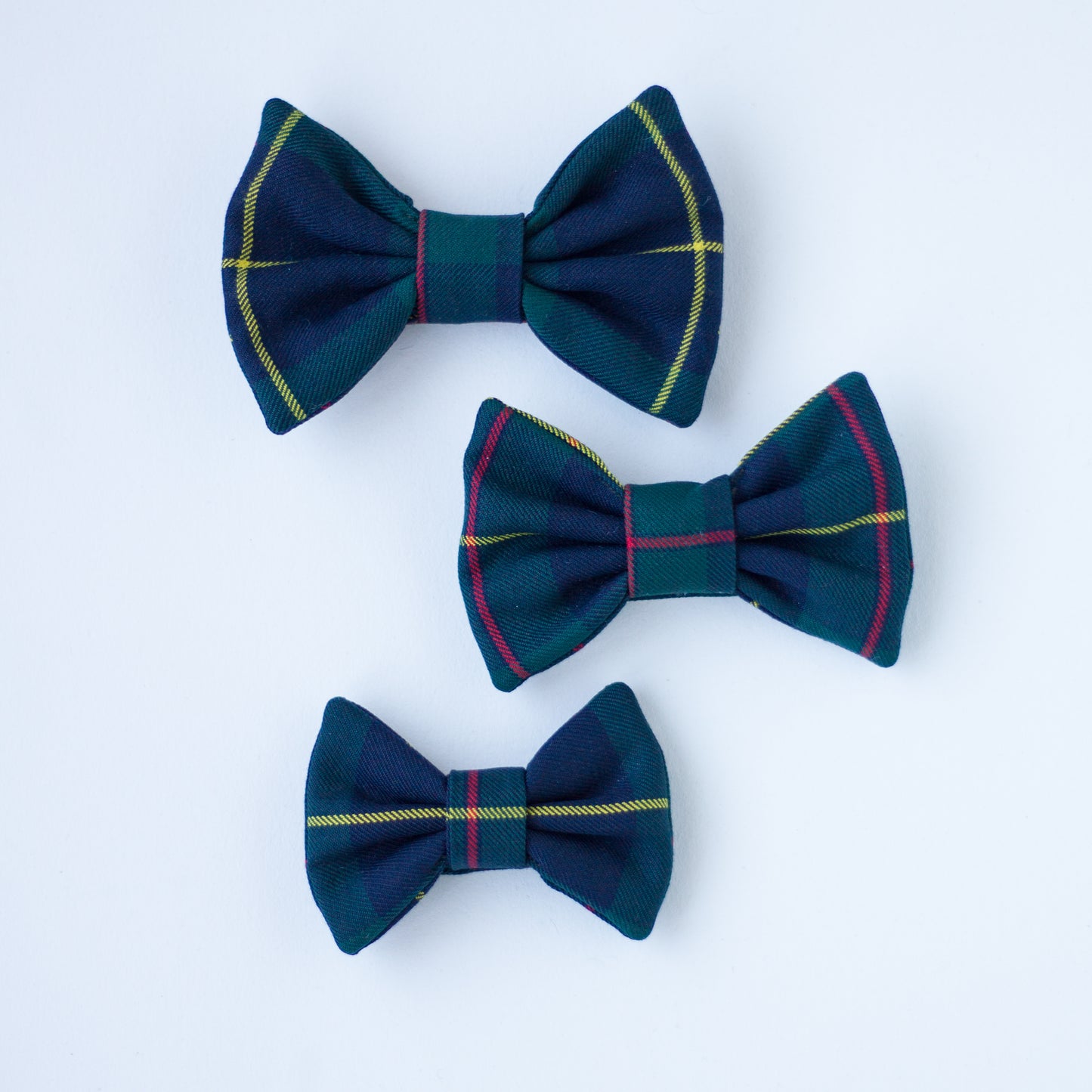Bowtie | Macleod