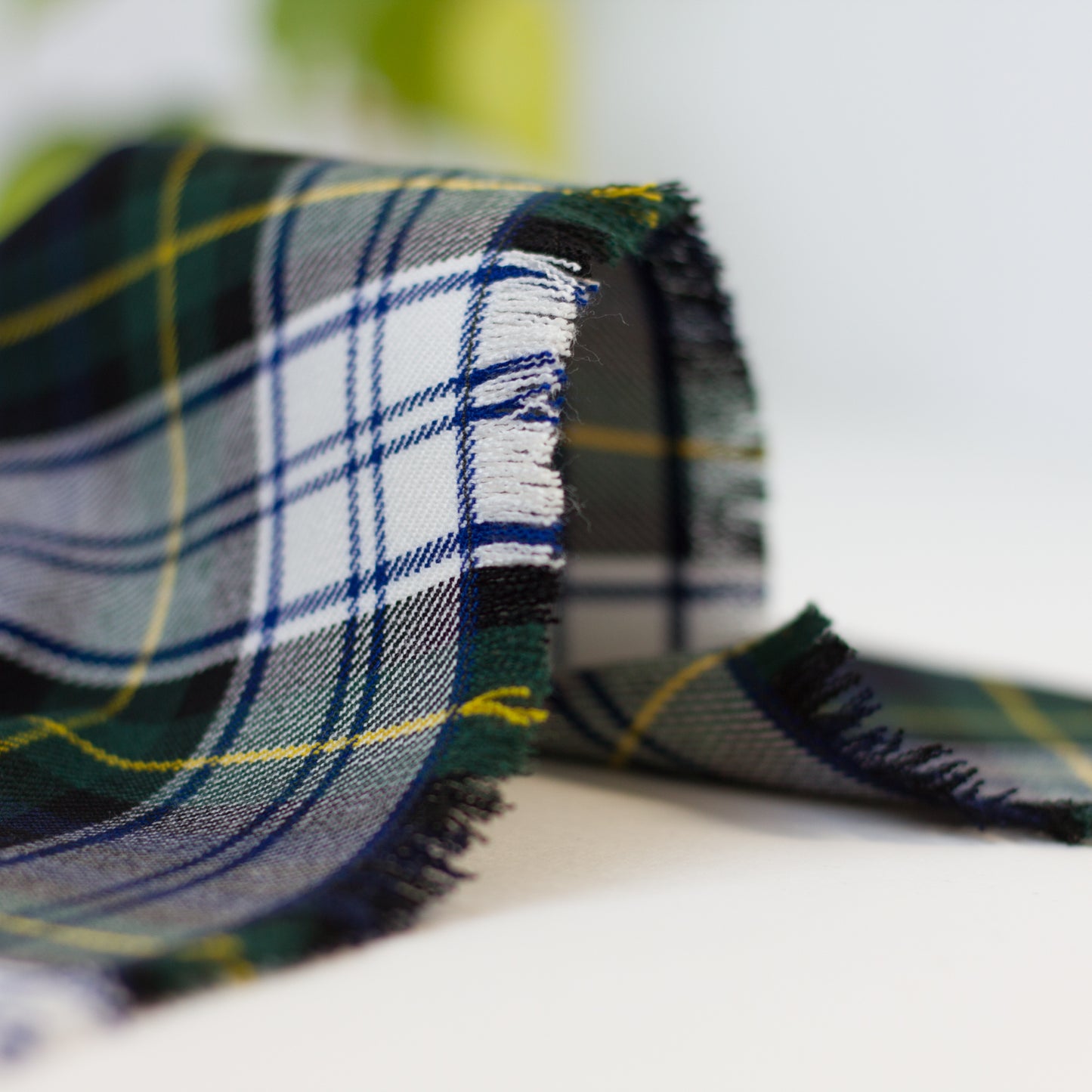 Bandana | Gordon Tartan