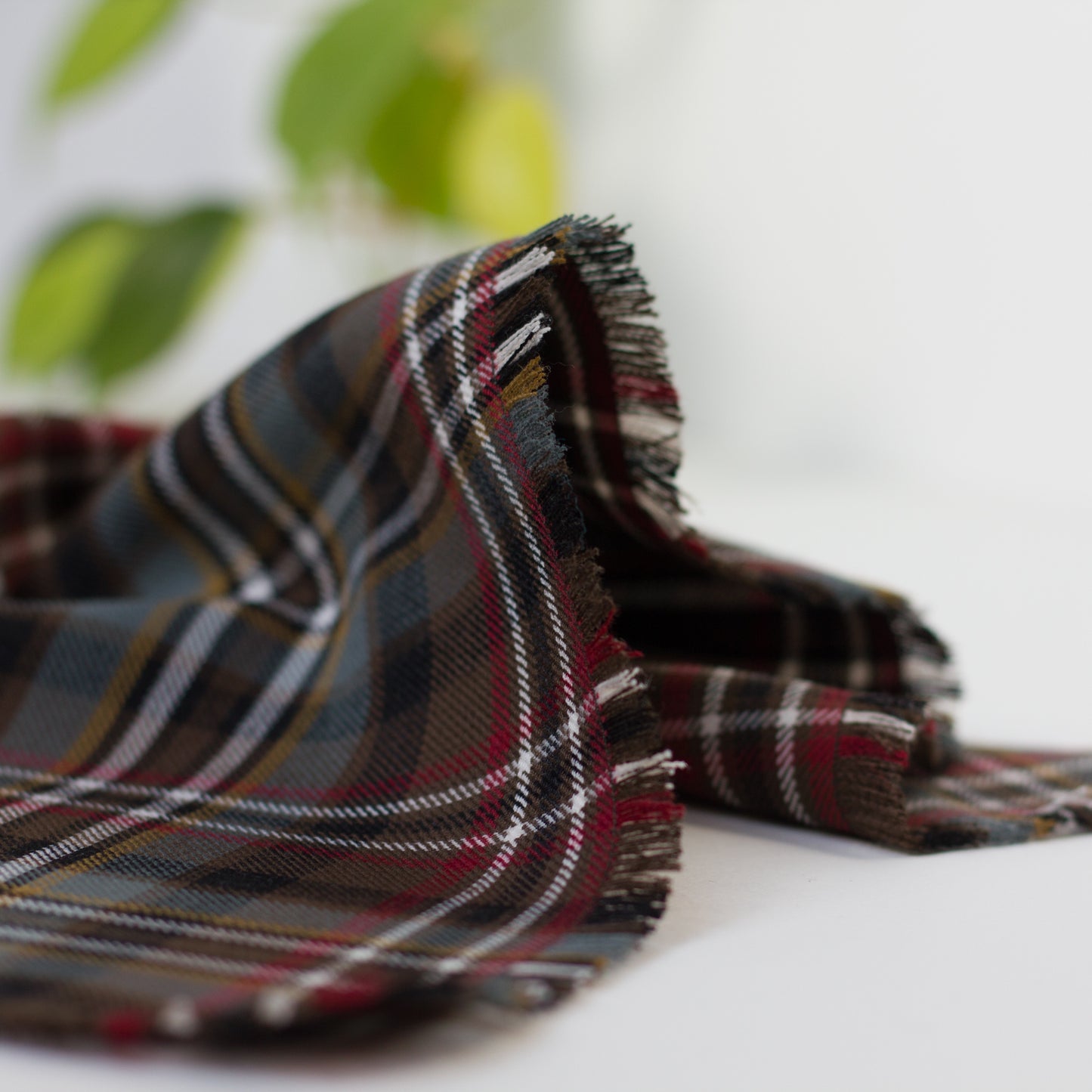 Bandana | Scott Weathered