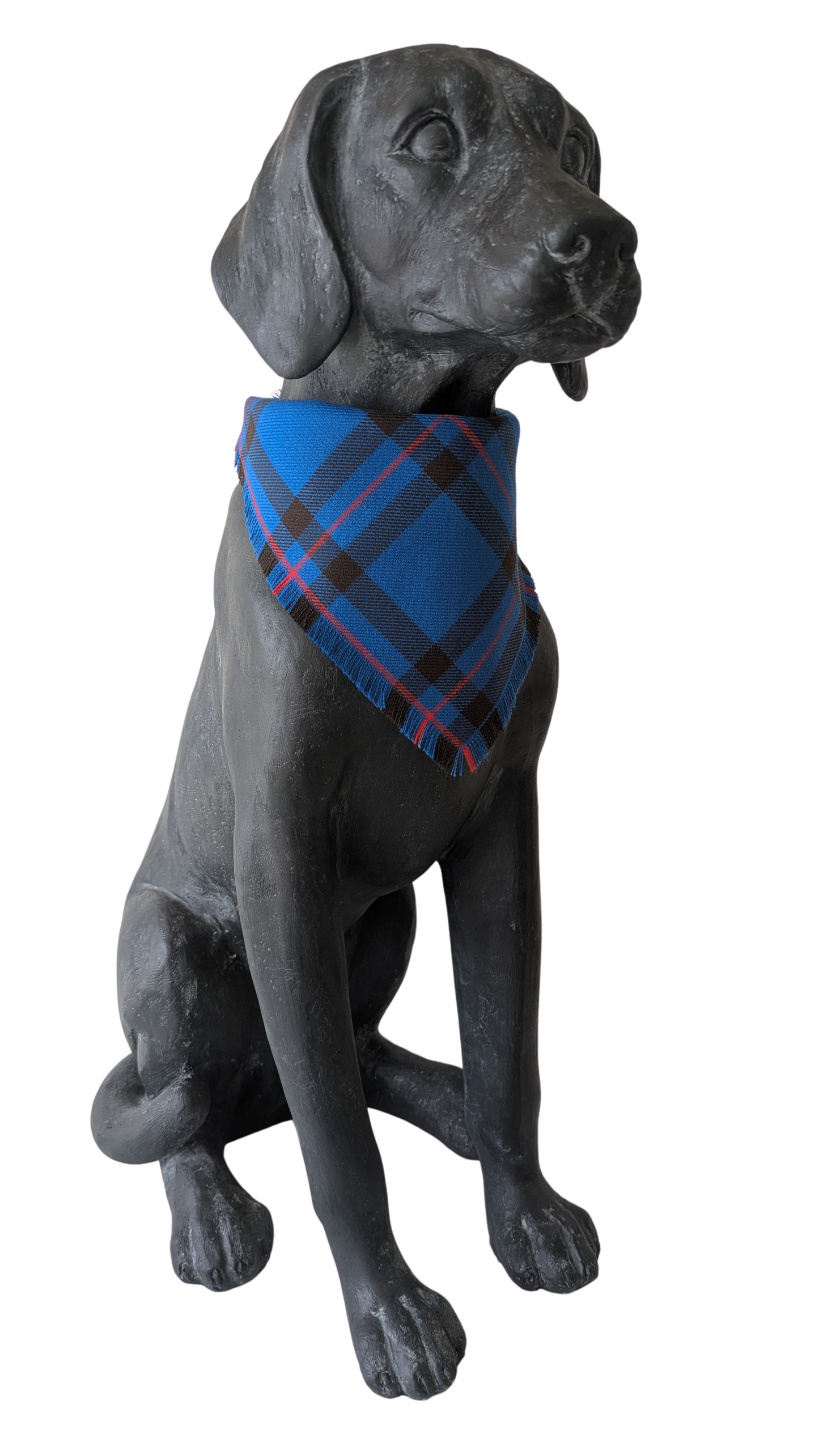 Bandana | Elliot Tartan