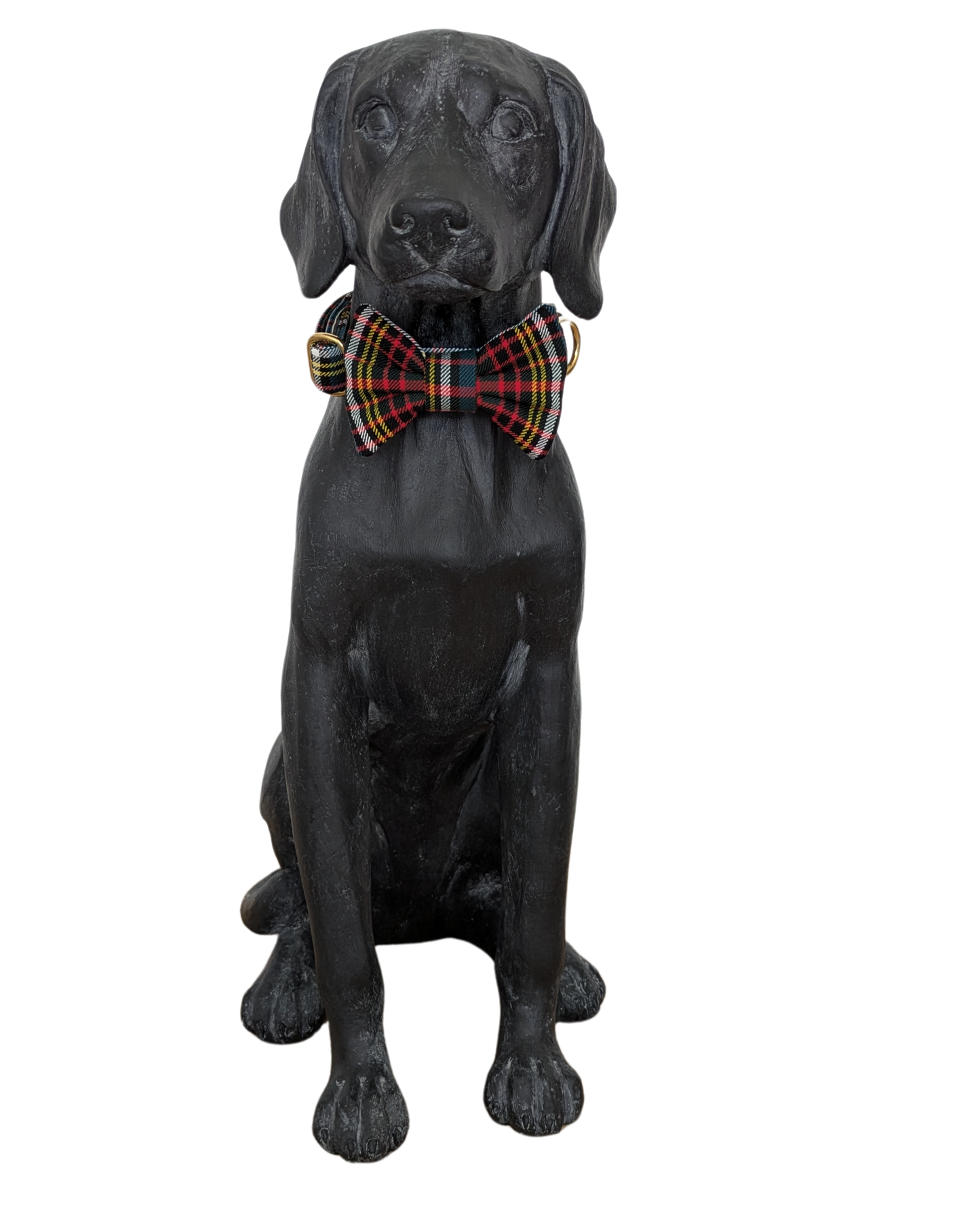Bowtie | Anderson