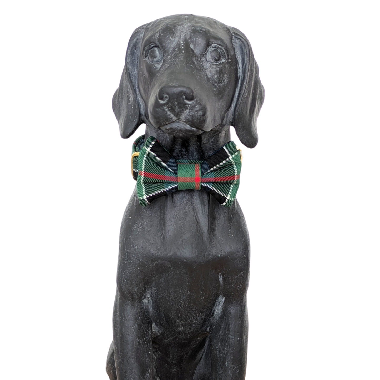 Bowtie | Colquhoun