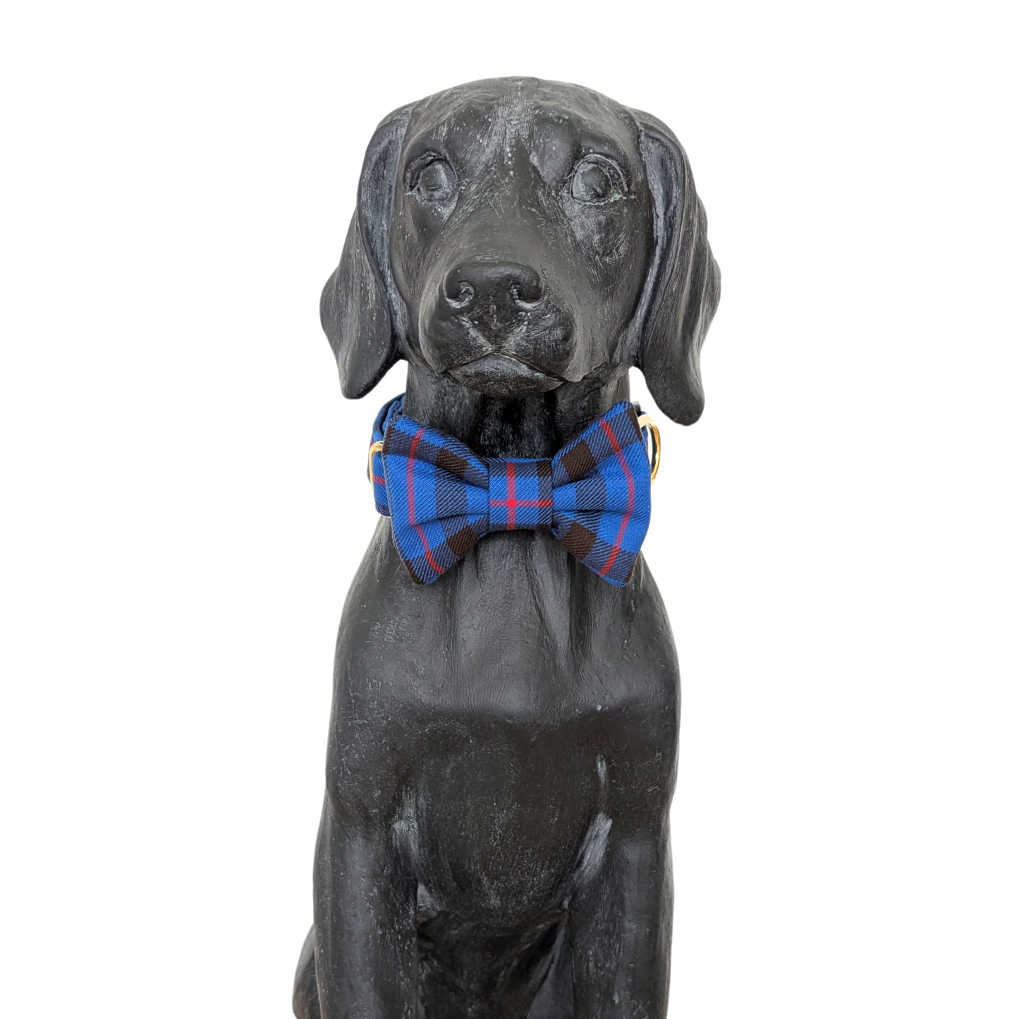 Bowtie | Elliot