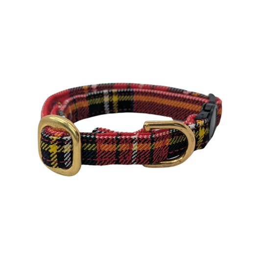Cat collar | Royal Stewart