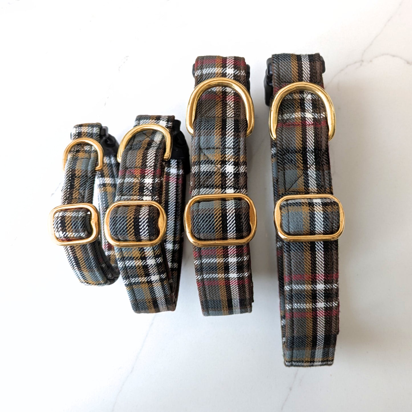 Dog Collar | Scott Weathered