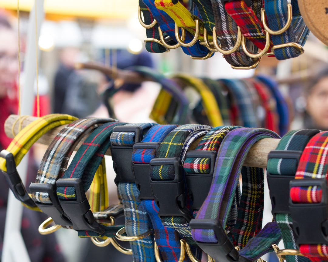 Dog Collars