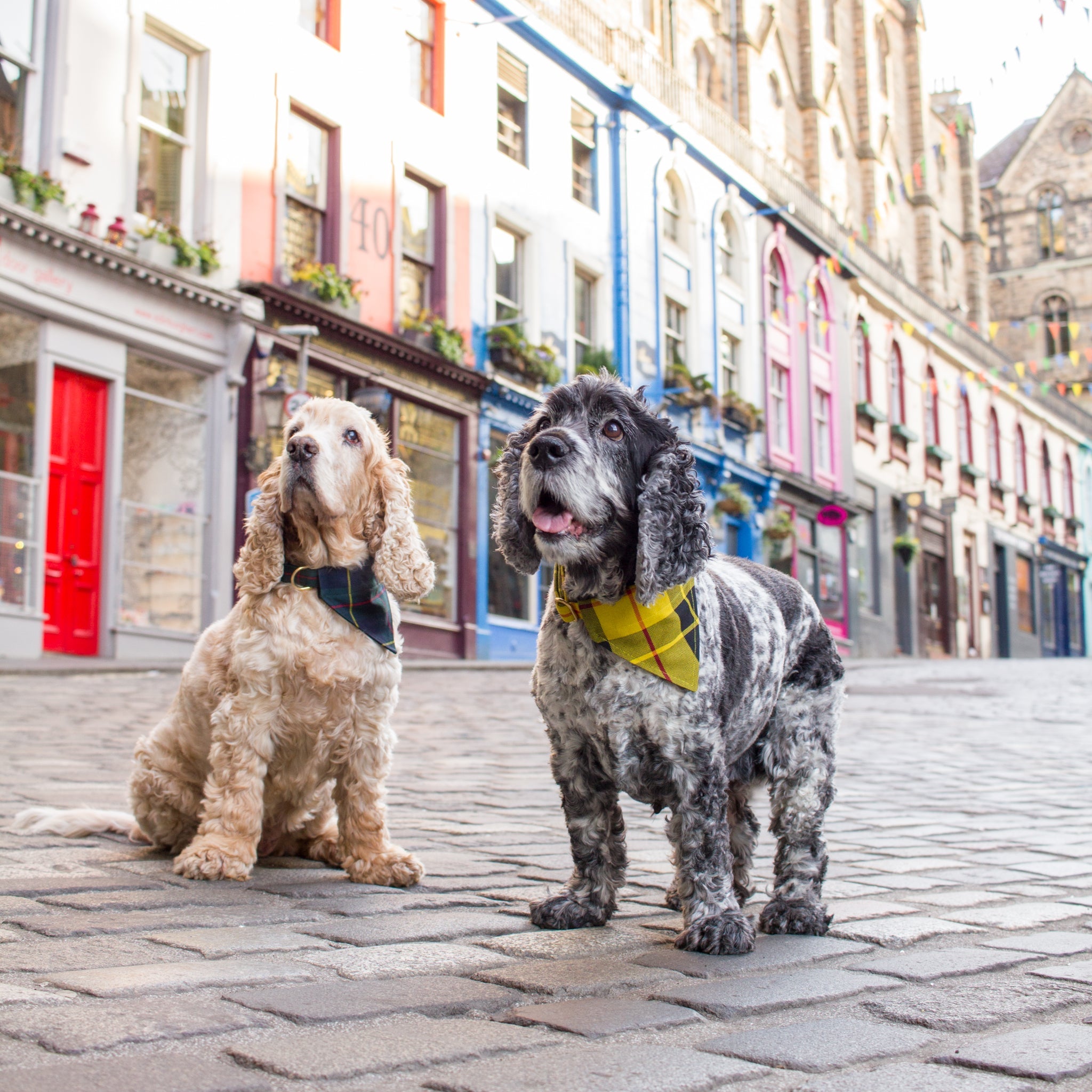 Neckerchiefs