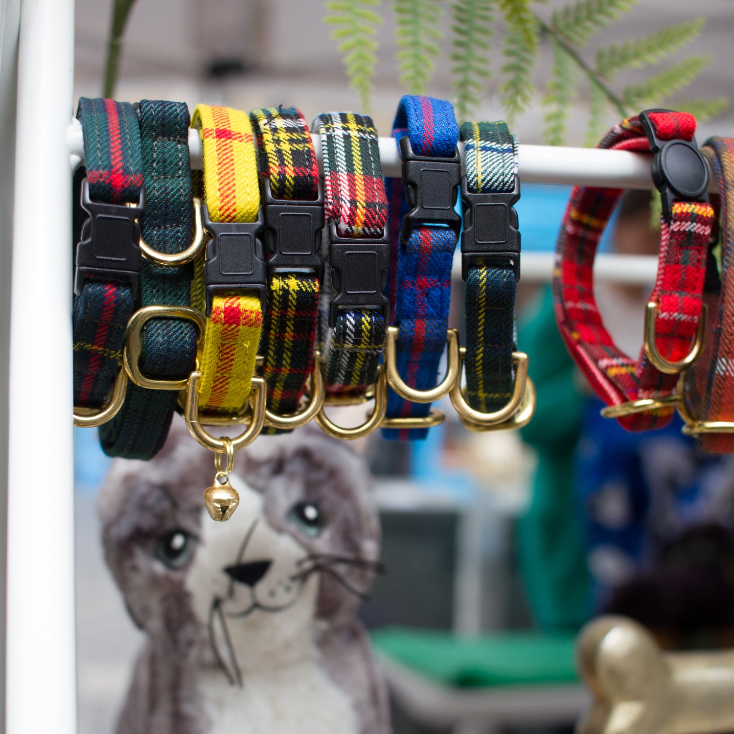 Cat Collars