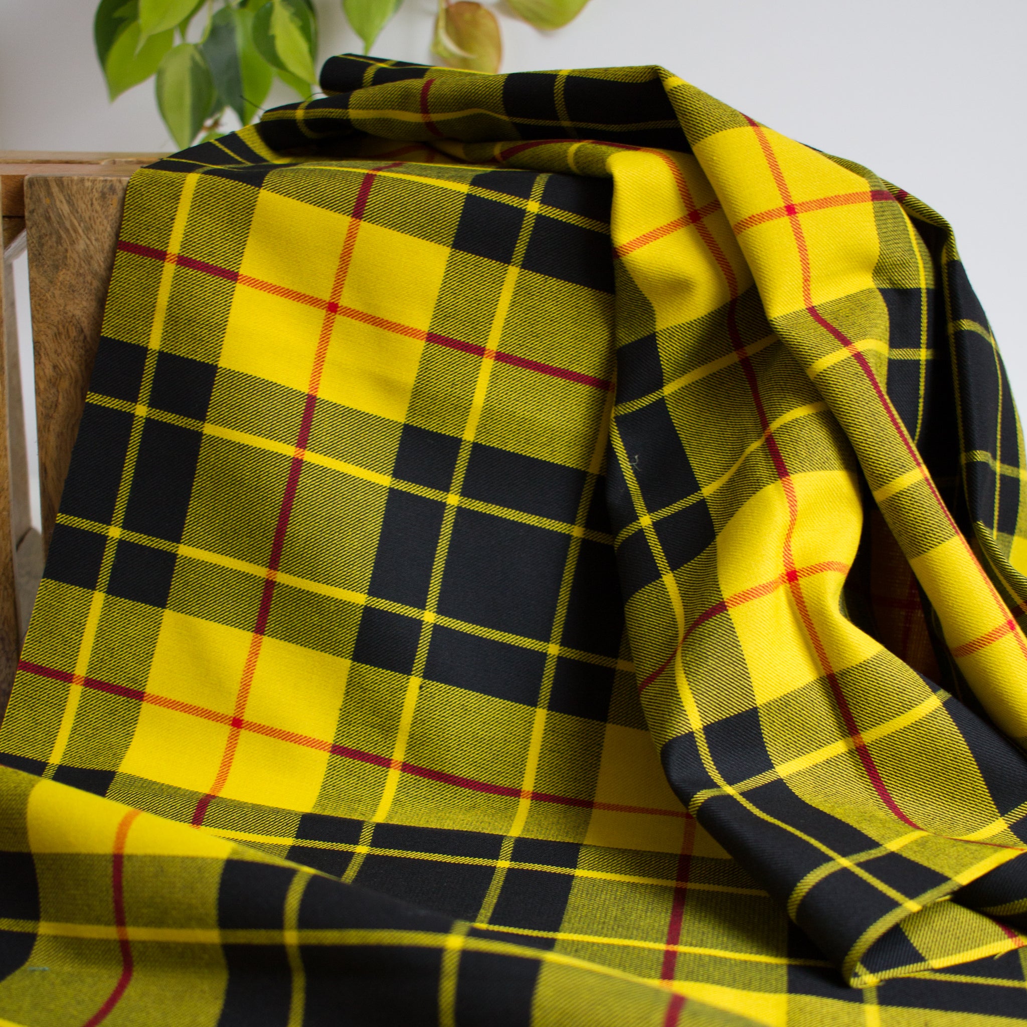 Macleod of Lewis Tartan Collection