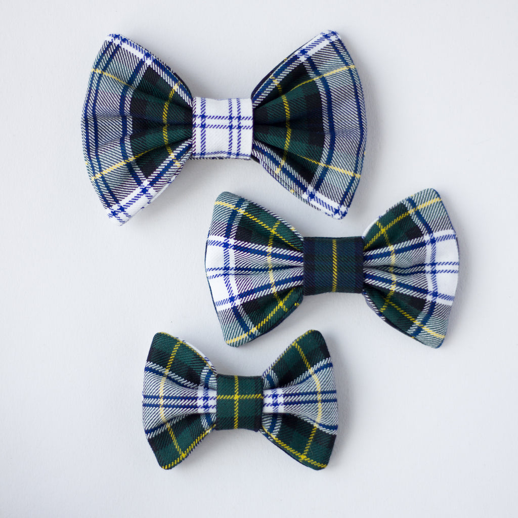 Bowtie | Gordon