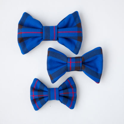 Bowtie | Elliot