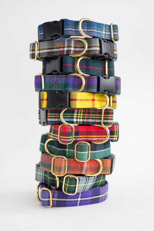 Dog Collar | Royal Stewart Dress Tartan