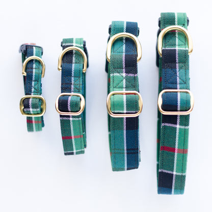 Dog Collar | Colquhoun