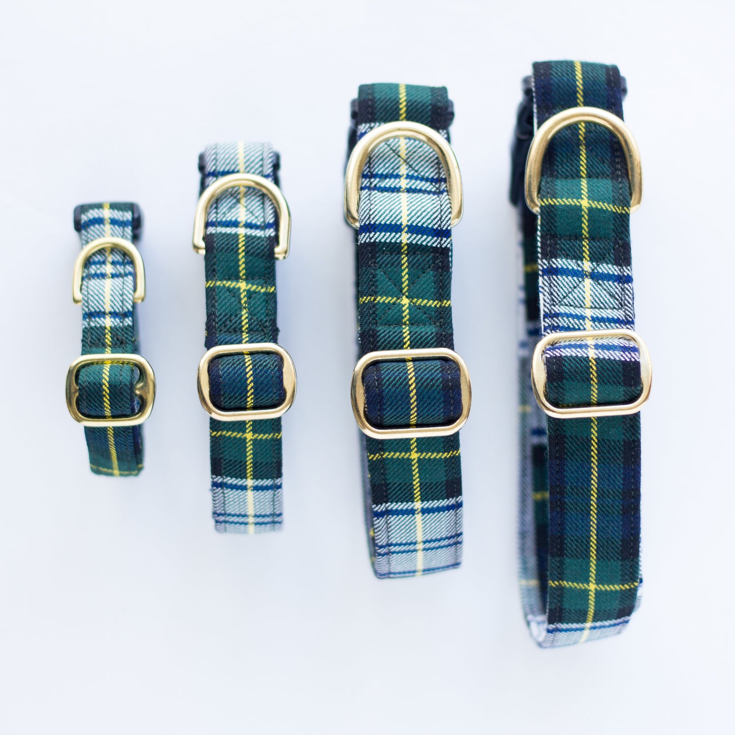 Dog Collar | Gordon Tartan