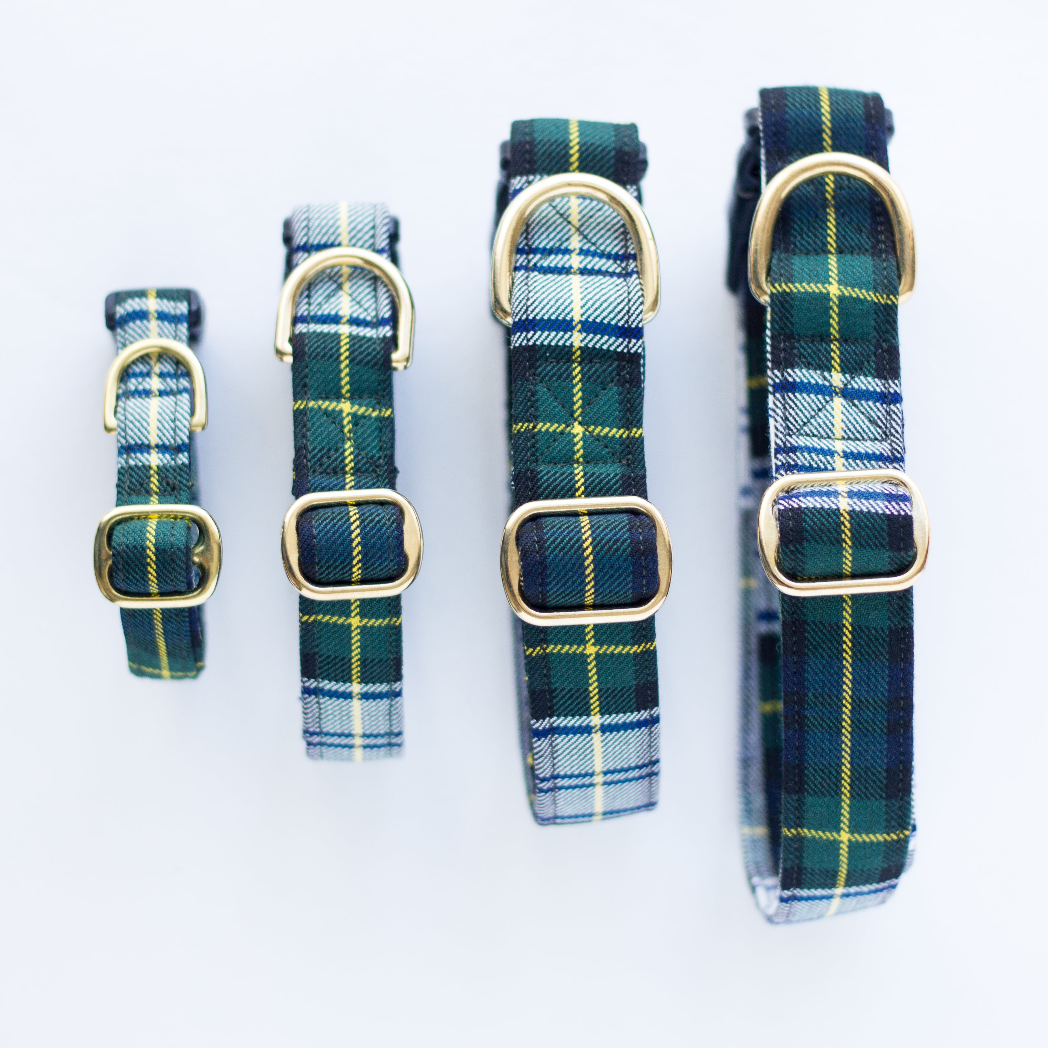 Dog Collar | Gordon