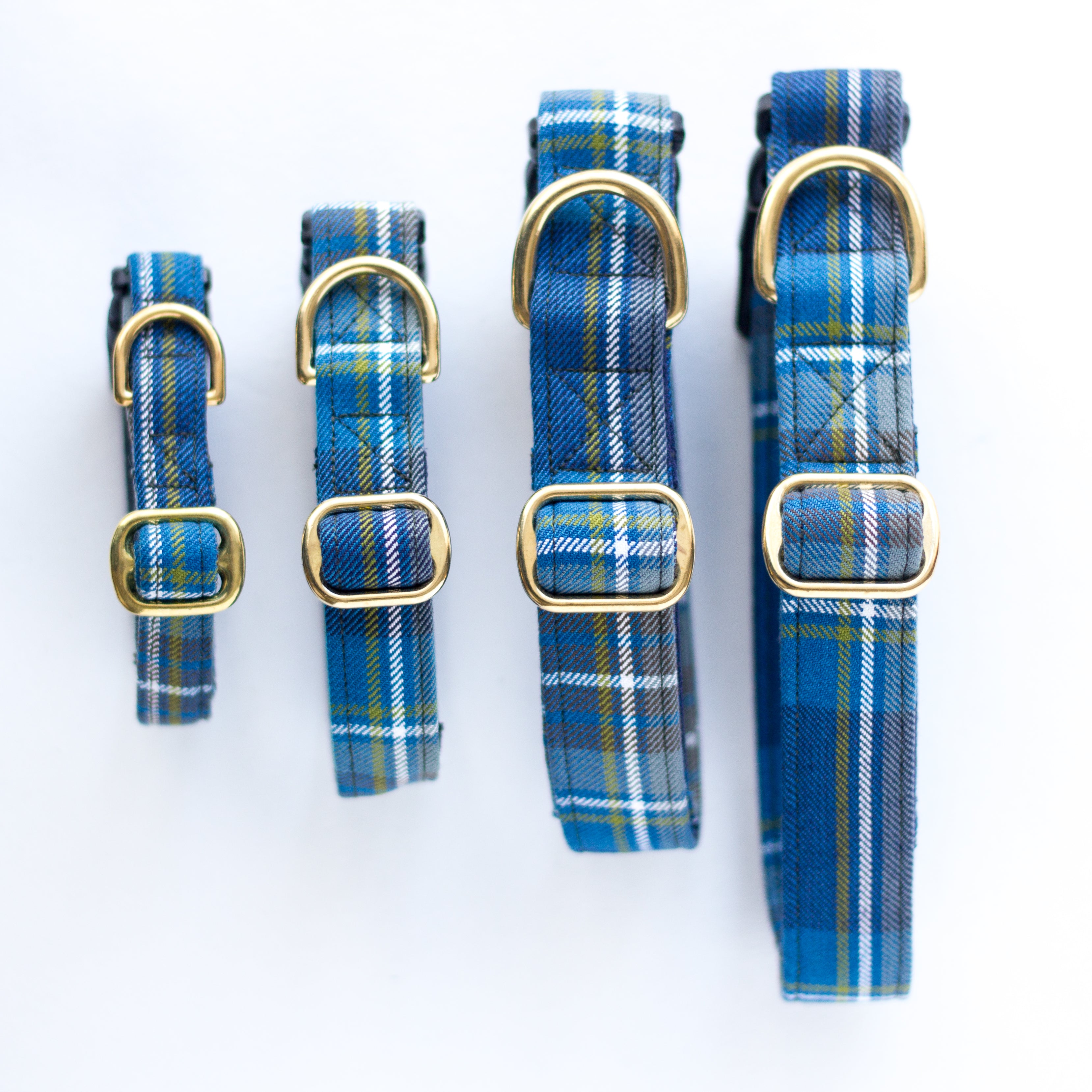 Dog Collar | Holyrood