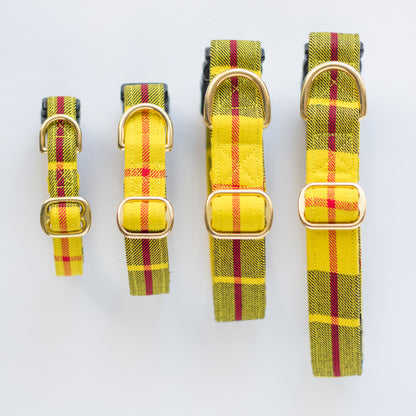 Dog Collar | Macleod of Lewis