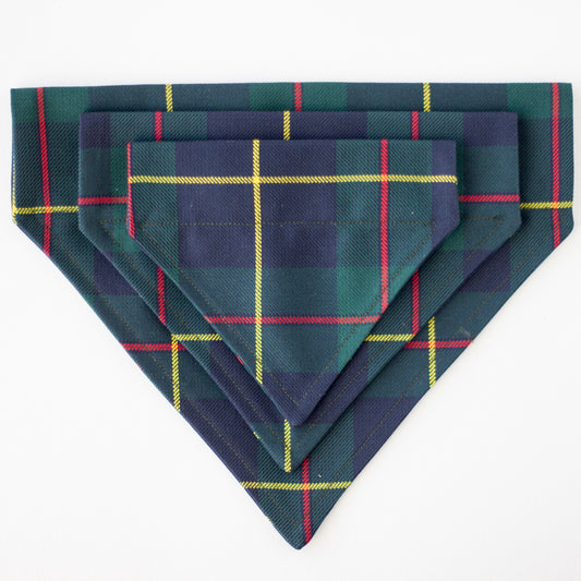 Neckerchief | Macleod Tartan