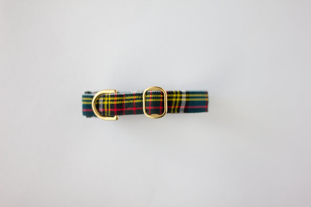 Dog Collar | Anderson