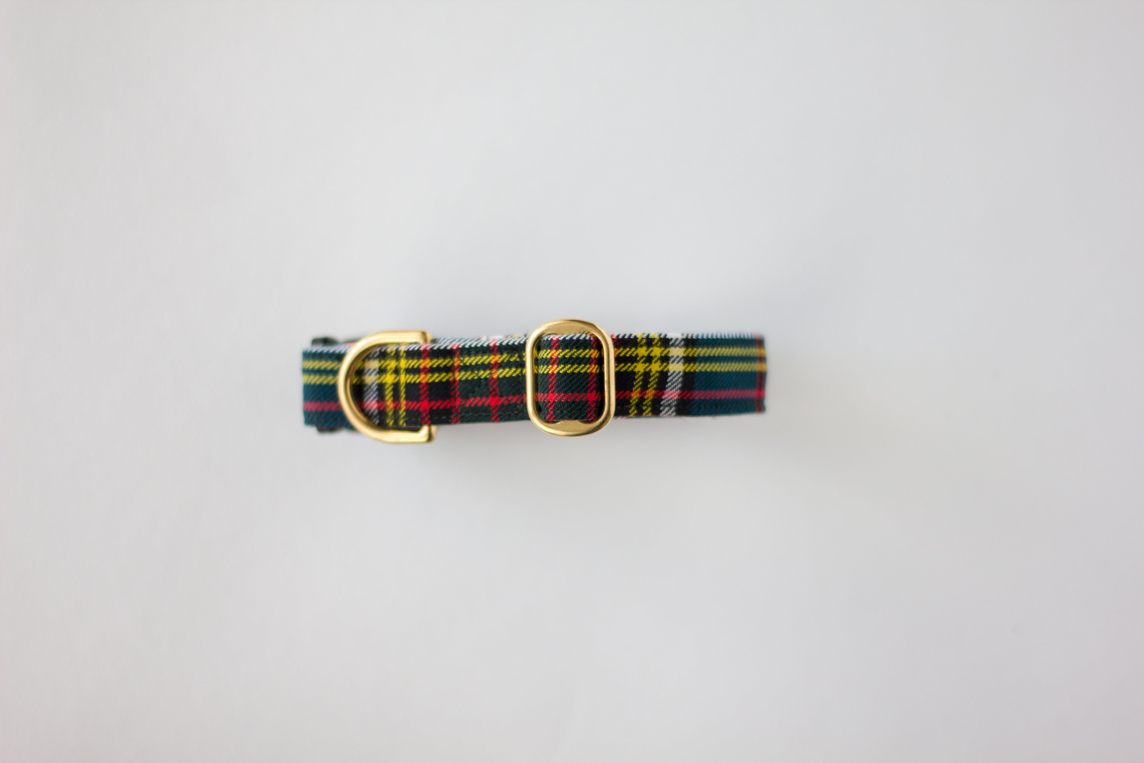 Dog Collar | Anderson