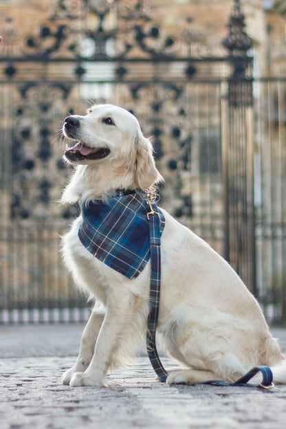 Bandana | Black Watch Tartan