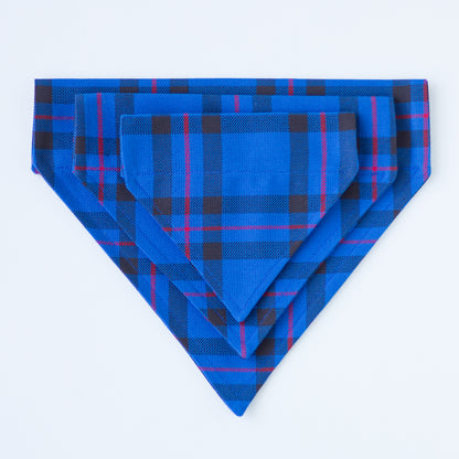 Neckerchief | Elliot