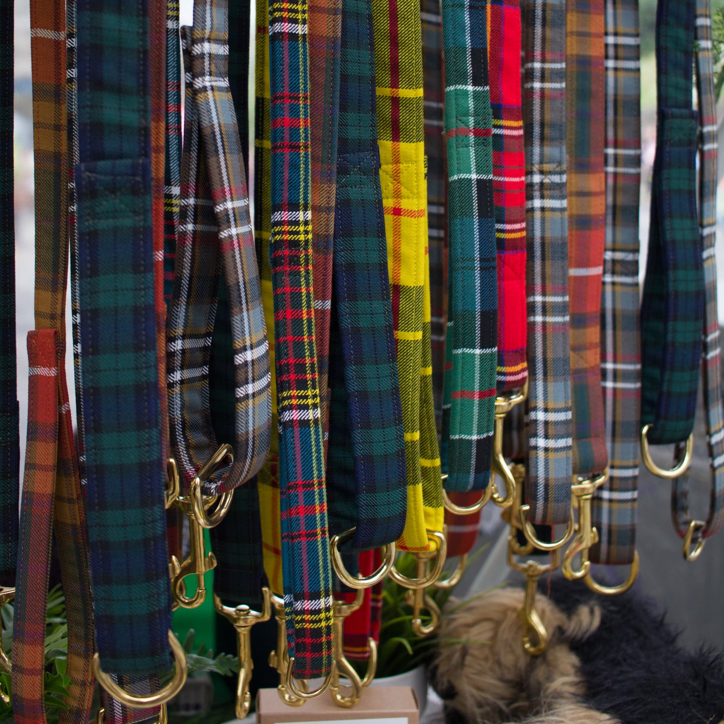 Lead | Black Watch Tartan