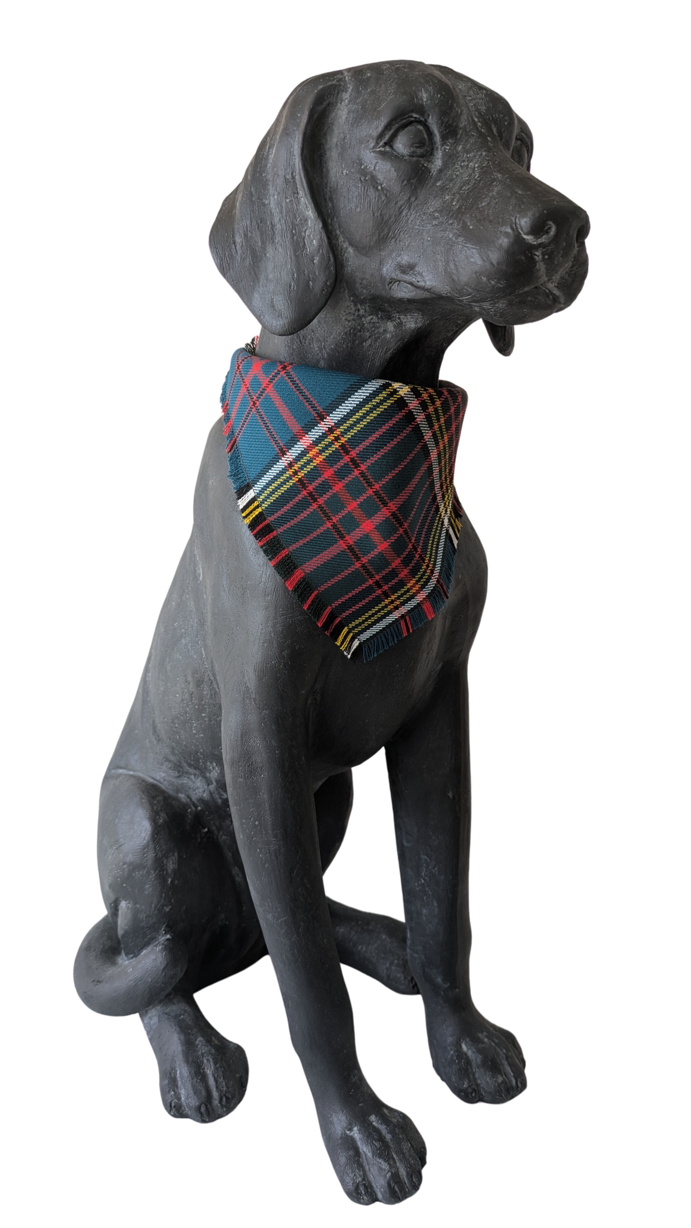 Bandana | Anderson