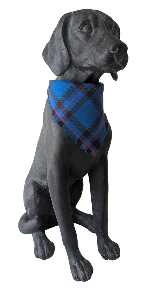 Bandana | Elliot Tartan