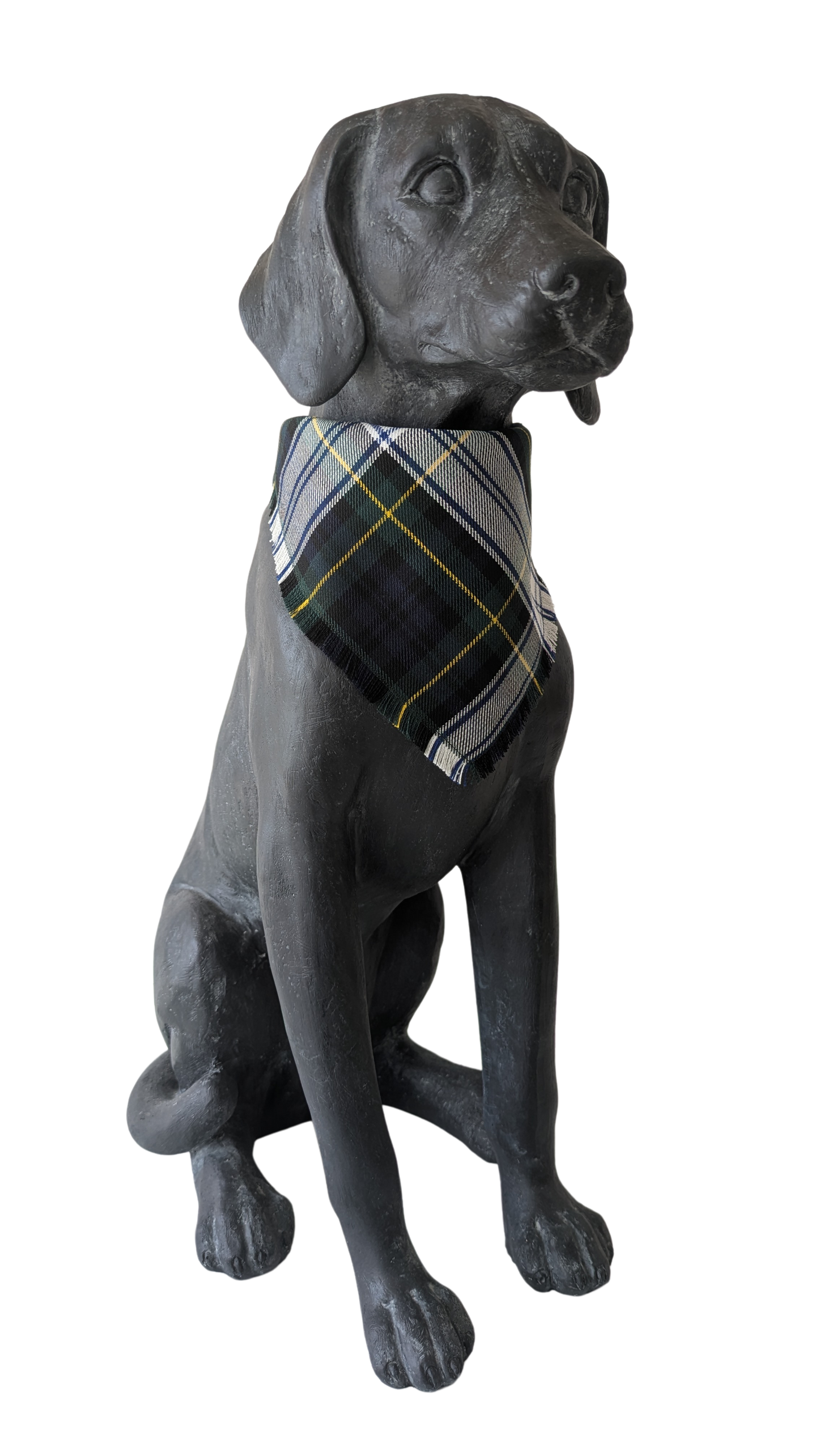 Bandana | Gordon