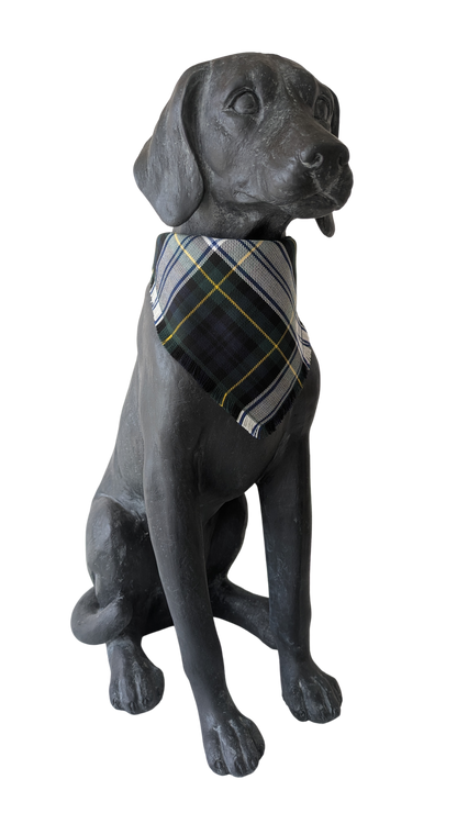 Bandana | Gordon