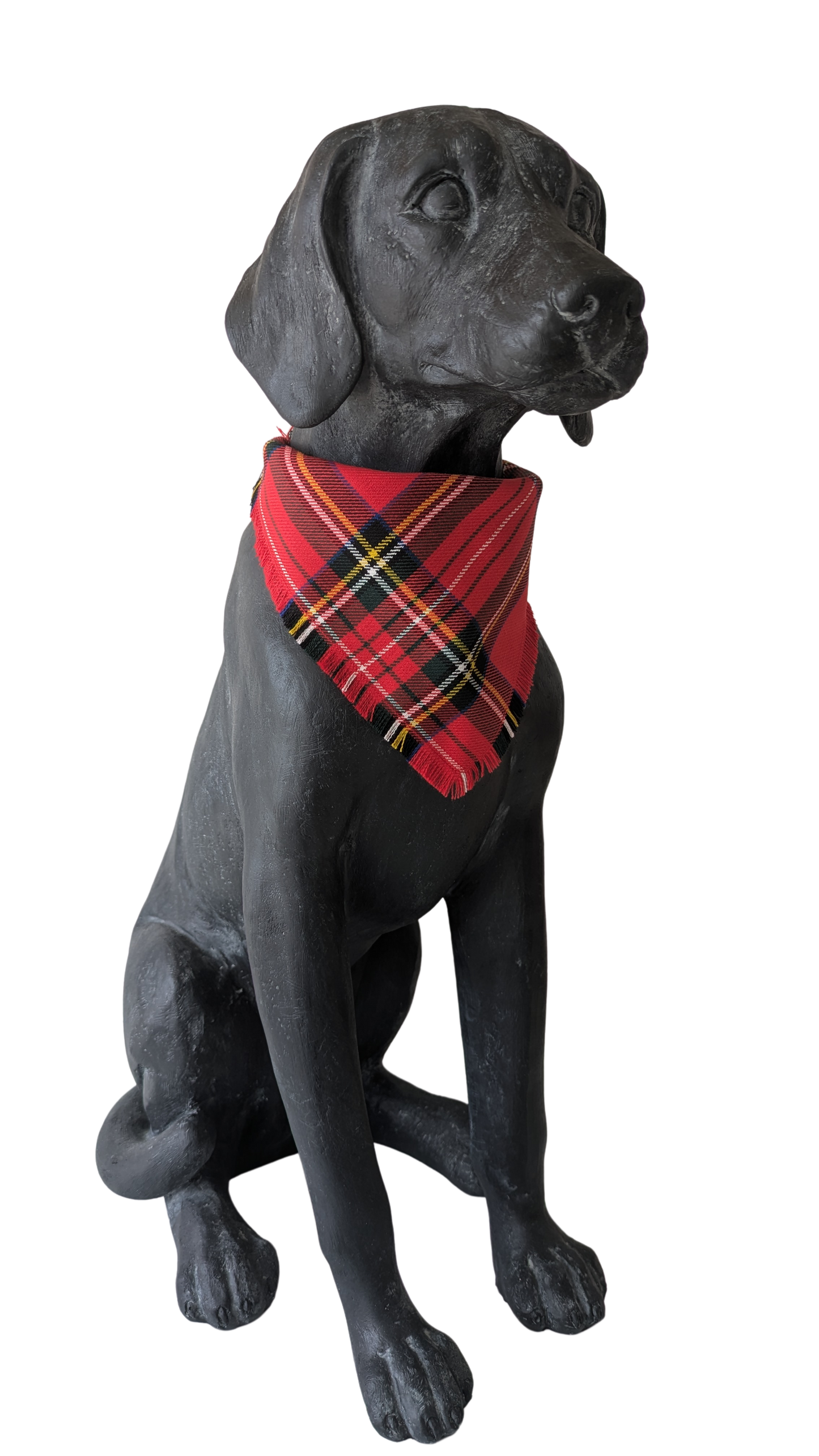 Bandana | Royal Stewart
