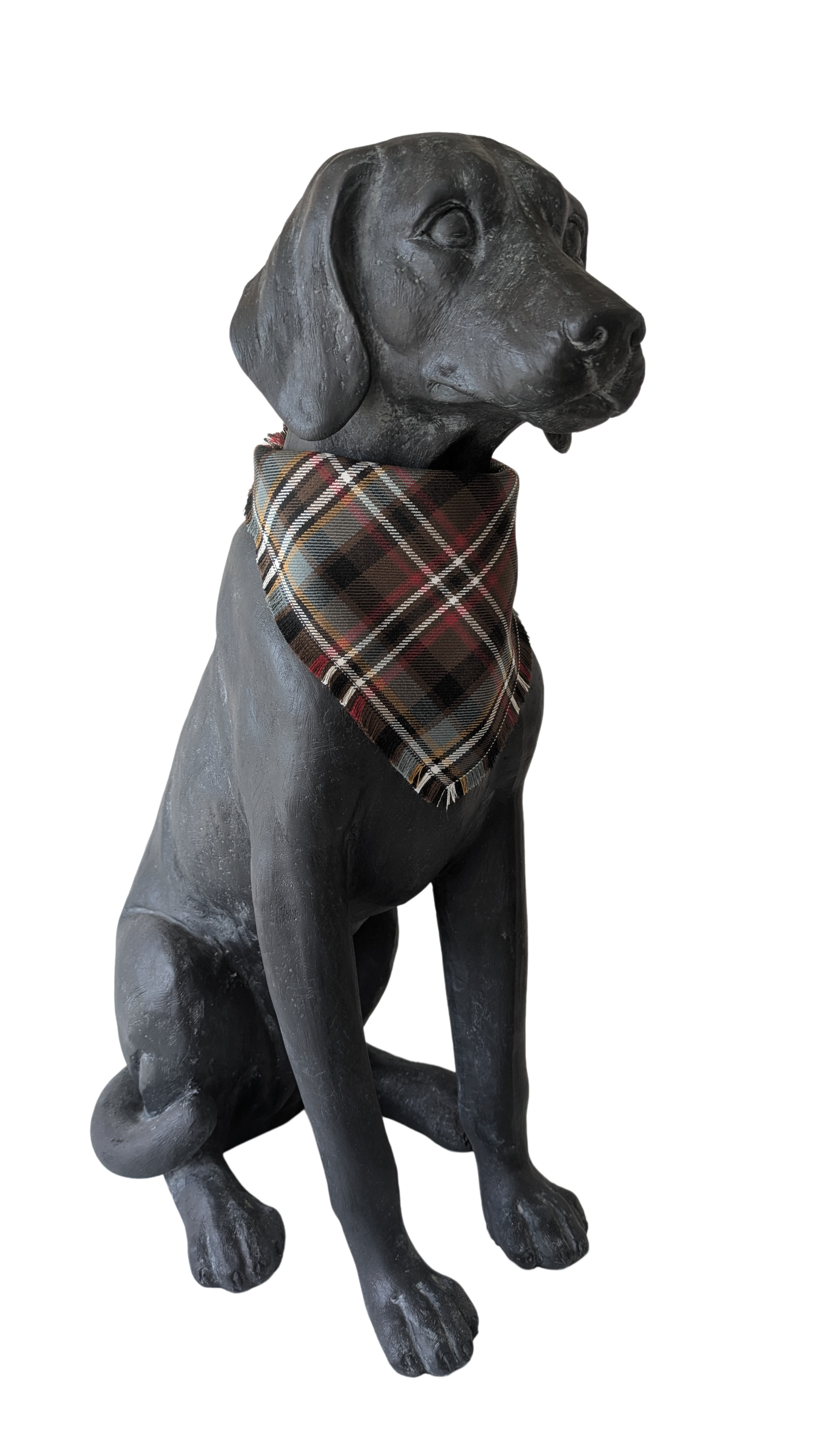Bandana | Scott Weathered