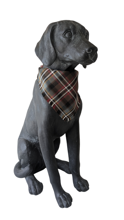 Bandana | Scott Weathered