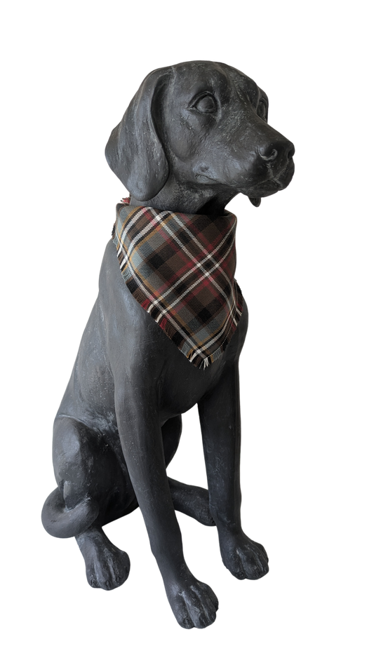 Bandana | Scott Weathered