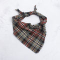 Bandana | Scott Weathered