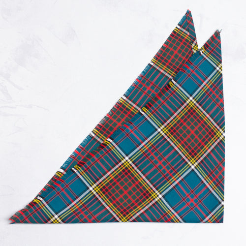 Bandana | Anderson