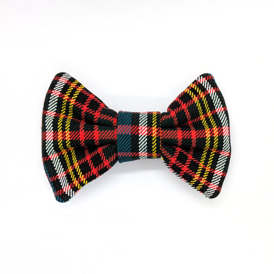 Bowtie | Anderson