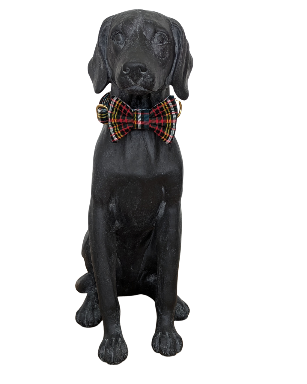 Bowtie | Anderson