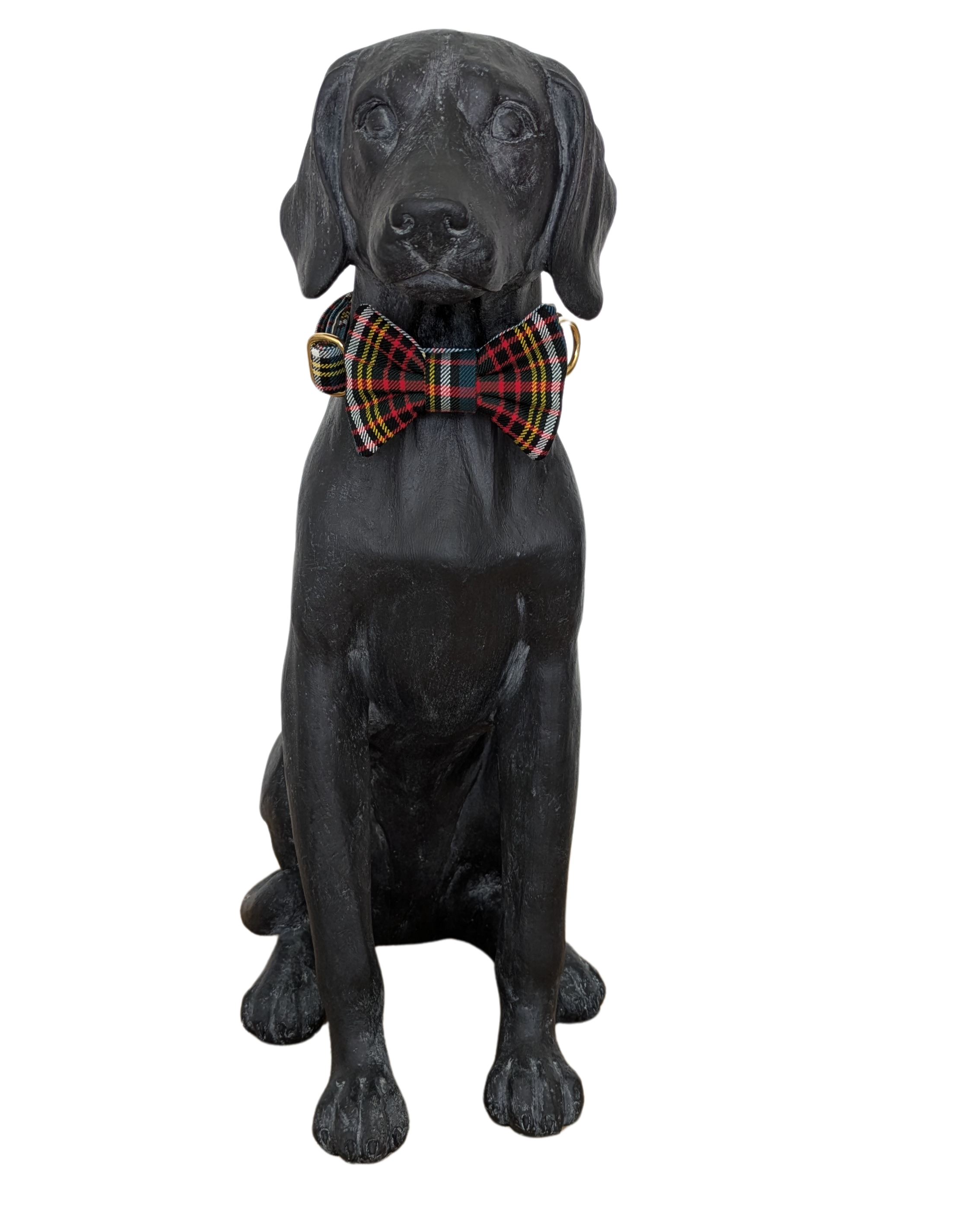 Bowtie | Anderson