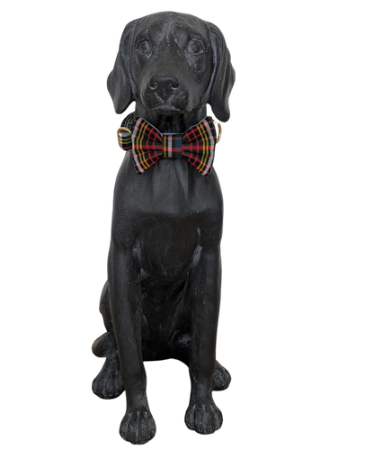 Bowtie | Anderson